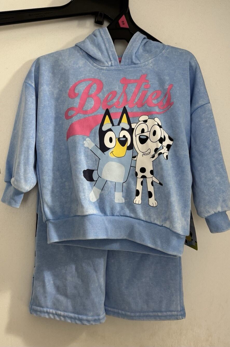 Bluey Toddler Girls 2pc Lt Blue Screen Print Sweatshirt And Leggings Size 18 Mo